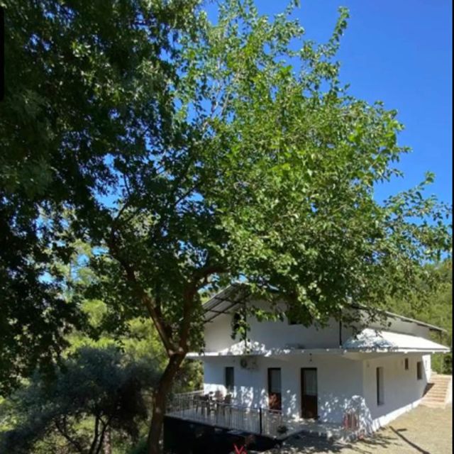 İztuzu Doğa Evleri - Muğla bungalov