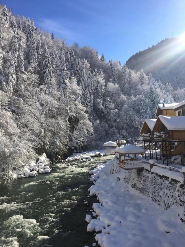 Hoşdere Bungalov Hotel - Rize bungalov