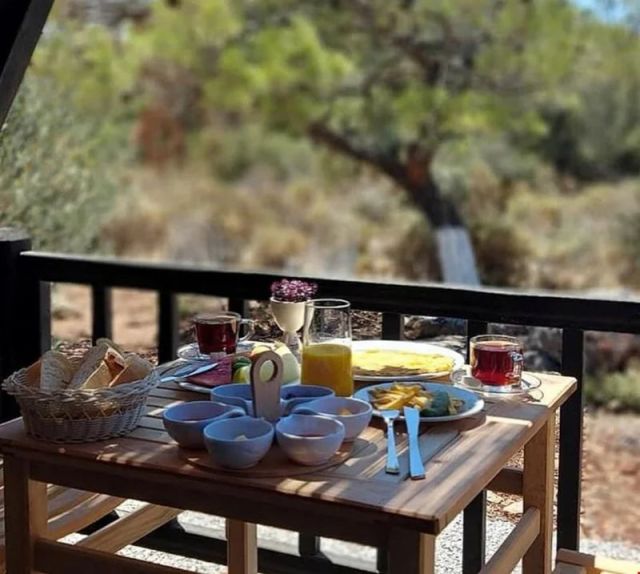 Patara Bungalov Houses - Antalya bungalov fotoğrafı 5