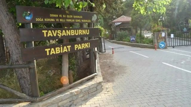 Tavşanburnu Tabiat Parkı - Aydın bungalov