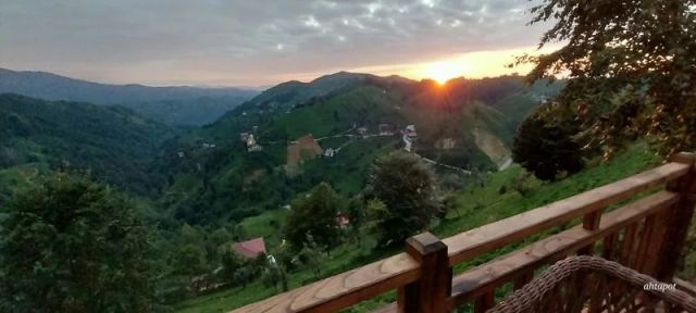 Ceo bungalov Merkezköyler - Rize bungalov fotoğrafı 3