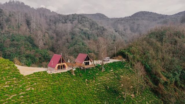 Ceo bungalov Merkezköyler - Rize bungalov