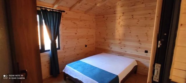 Olive Garden Bungalow - Muğla bungalov fotoğrafı 5