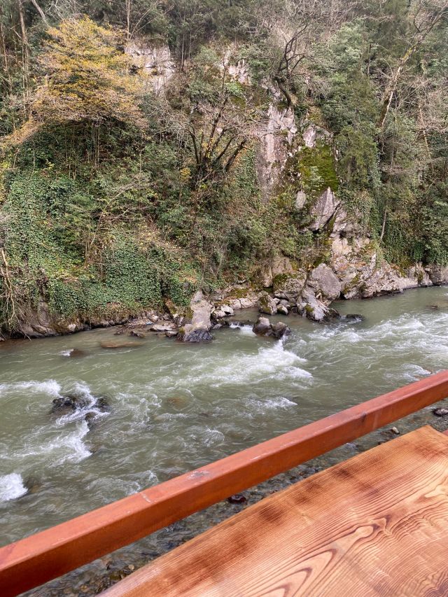 Hoşdere Bungalov Hotel - Rize bungalov fotoğrafı 3