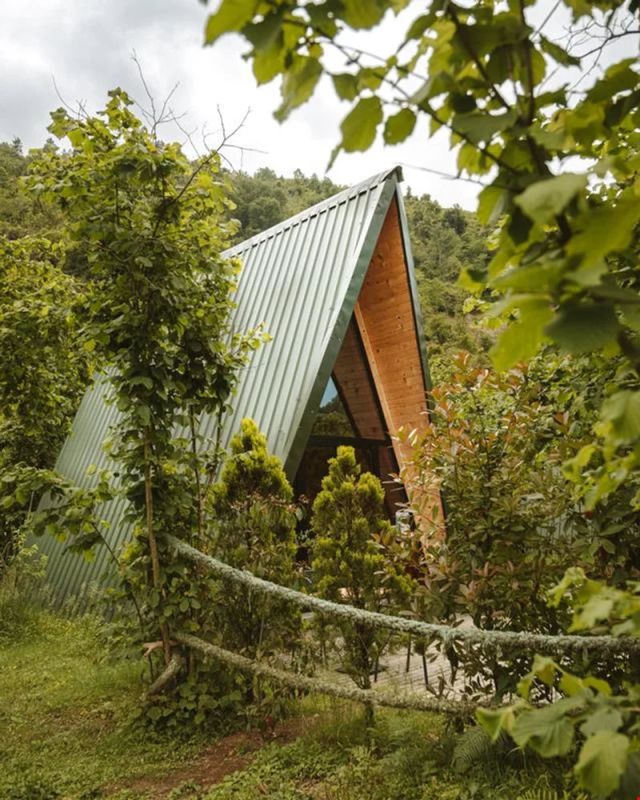 DoğadaKal Ardeşen - Rize bungalov fotoğrafı 3