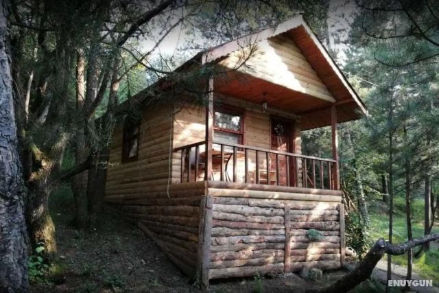 Çampınarı Doğa Evleri Mengen - Bolu bungalov fotoğrafı 4