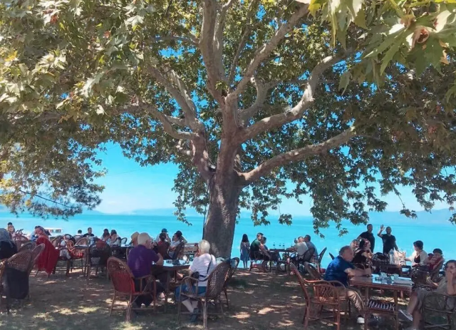 La Cabana İznik - Bursa bungalov fotoğrafı 3