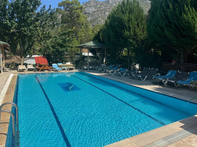 Olympos Butik Otel ve Restoran - Antalya bungalov fotoğrafı 4