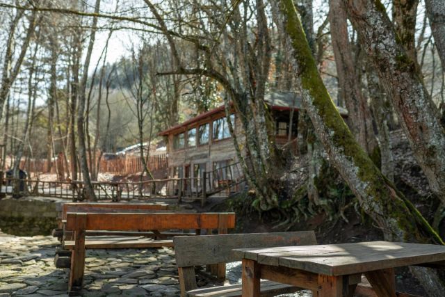 Hindiba Doğa Evi - Bolu bungalov fotoğrafı 5
