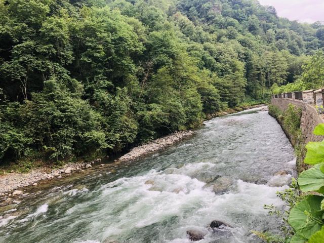 Tanura Bungalows Çamlıhemşin - Rize bungalov fotoğrafı 3