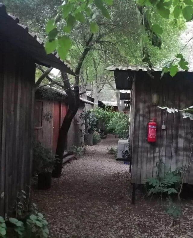 Olympos Lila Pansiyon ve Restoran - Antalya bungalov fotoğrafı 5