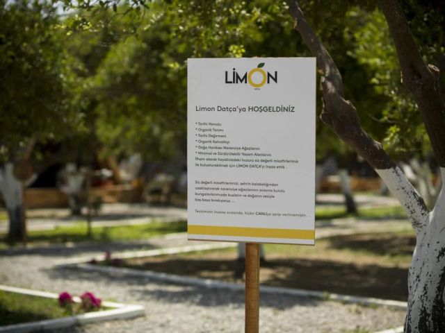 Limon Datça - Muğla bungalov fotoğrafı 3